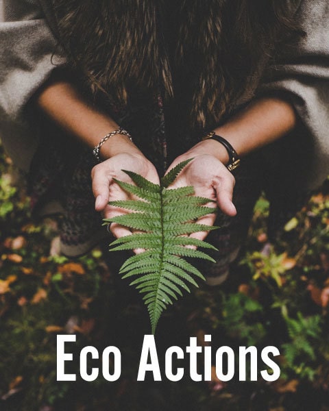 Eco-Action-Menu