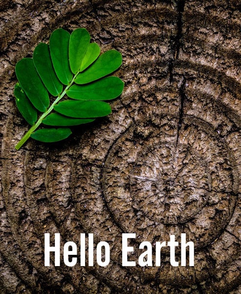 Hello-Earth-Menu