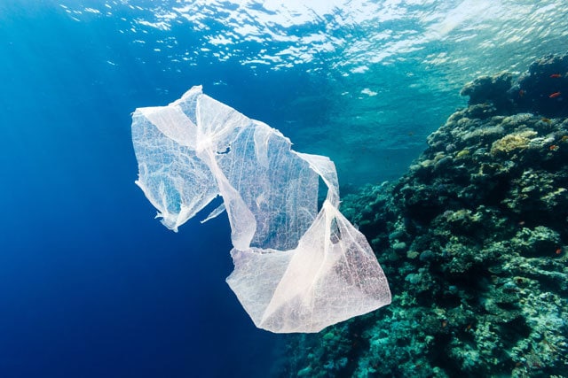Marine Pollution Plastic