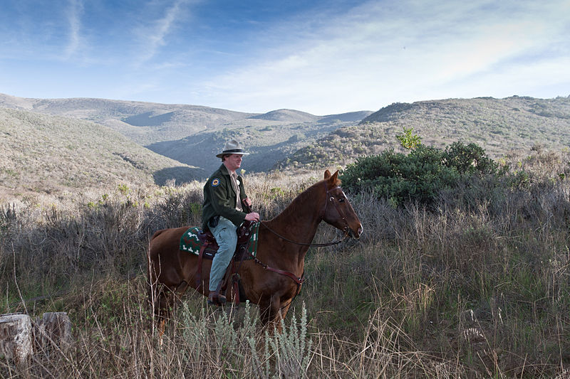 California park ranger (Michael L. Baird)