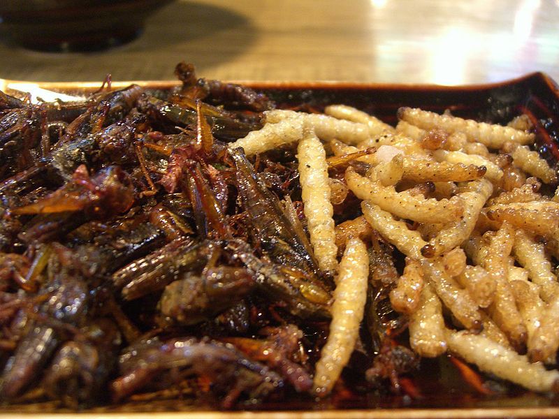 5 Edible Insects And Its Yummy Secret Recipes
