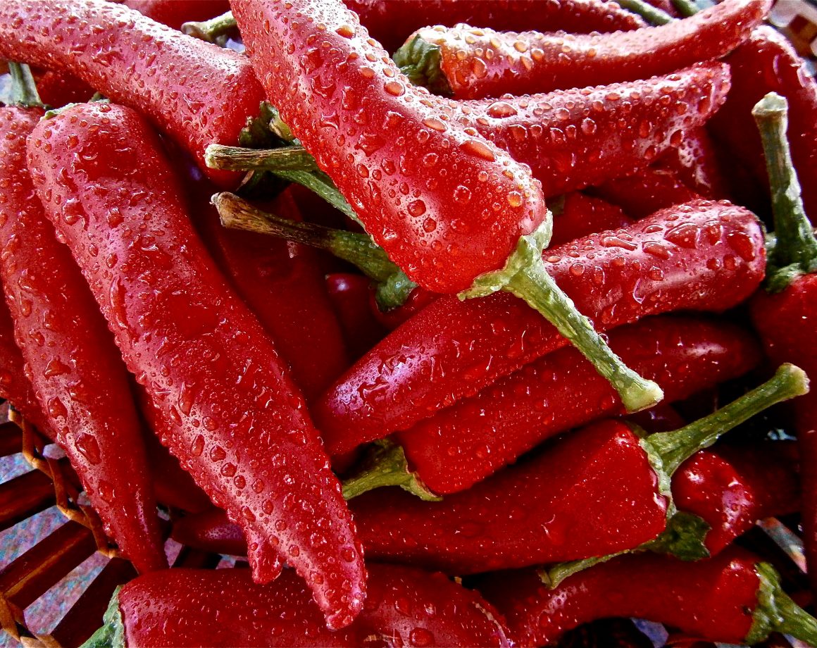 Organic Pesticides You Can Make From Your Backyard Plants