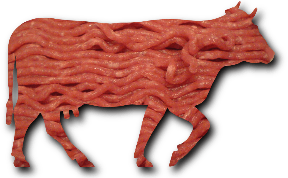 Minced beef meat cow cattle shadow (Wikimedia Commons)