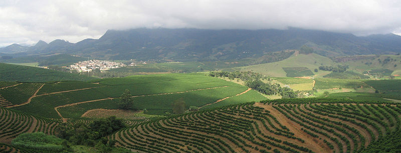 Plantation on deforested area by Fernando Rebêlo