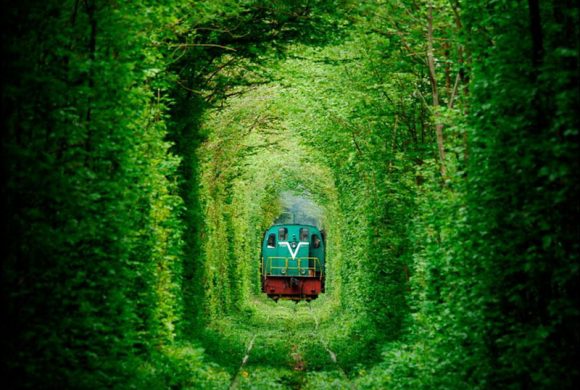 Tunnel-of-Love-Ukraine before 2022 (Wikimedia Commons)