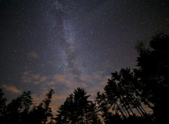 night-trees-milky-way-stars