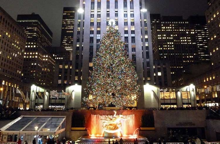 Rockefeller Center Christmas Tree is Recycled for More Happiness
