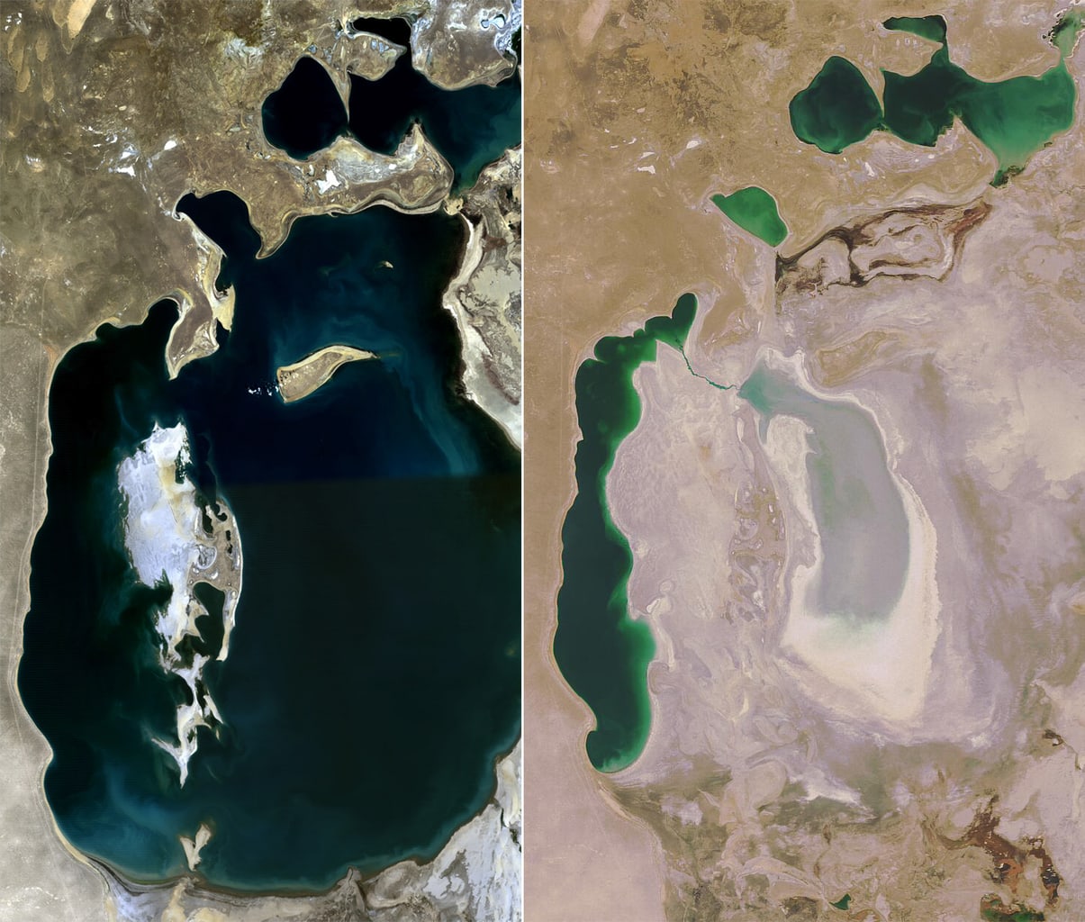 Aral_Sea_1989-2008 (Wikimedia Commons)