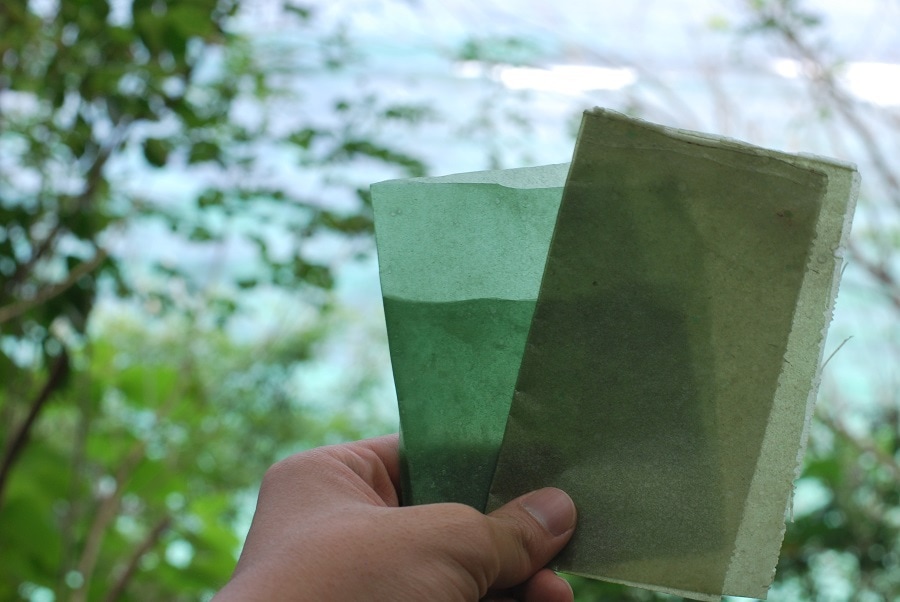 Seaweed based packaging (Evoware)