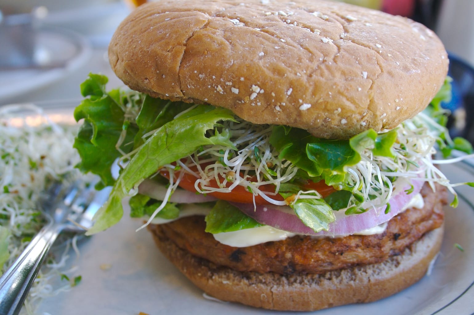 delicious veggie burger (Wikimedia Commons)