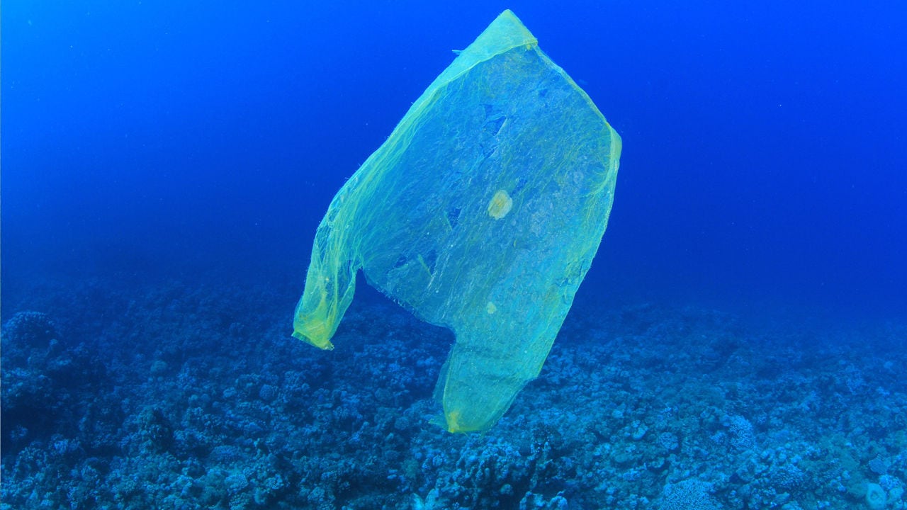 plastic bag in the ocean (Wikimedia Commons)