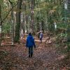 Why Protecting Forests Means Protecting Human Health
