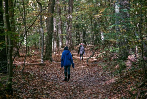 Why Protecting Forests Means Protecting Human Health