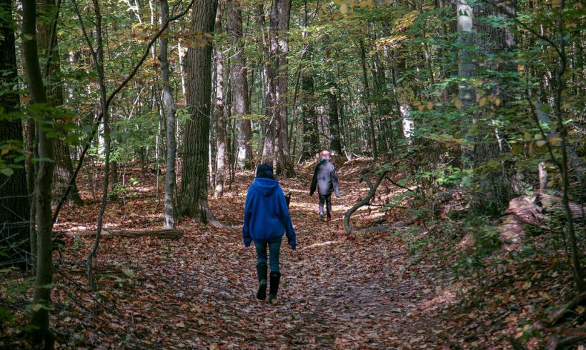 Why Protecting Forests Means Protecting Human Health Why Protecting Forests Means Protecting Human Health