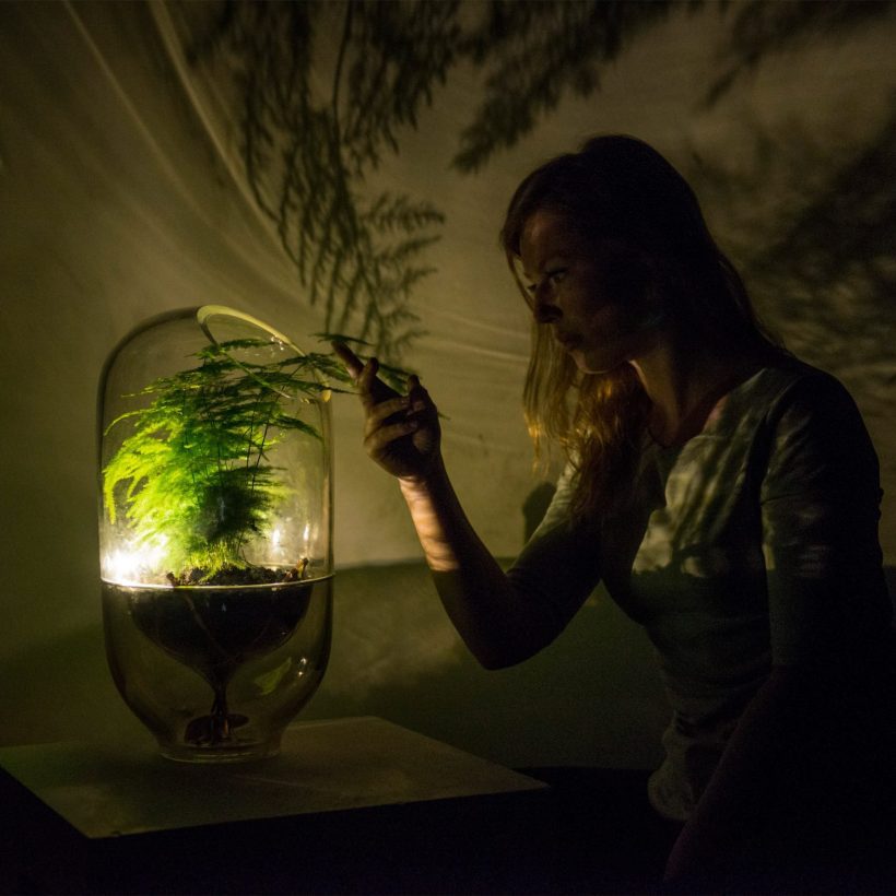 The Green Light: Photosynthesis-Powered Lighting Is Making Its Way