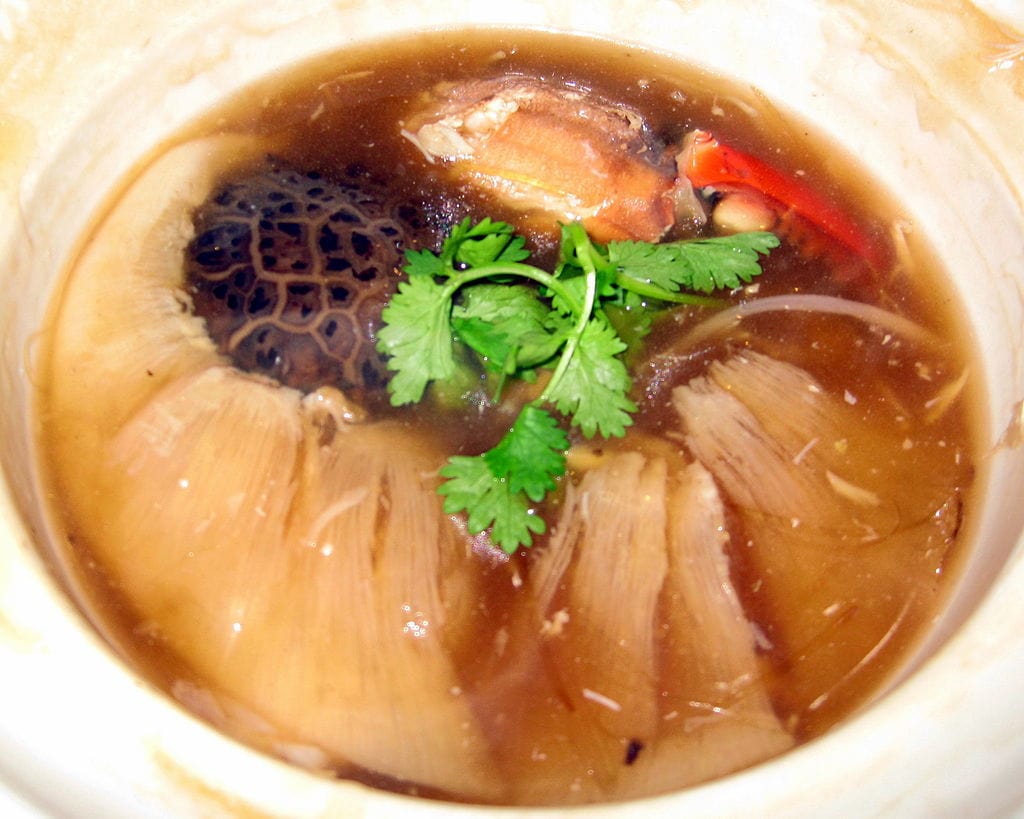 shark fin soup by Takoradee wikimedia commons