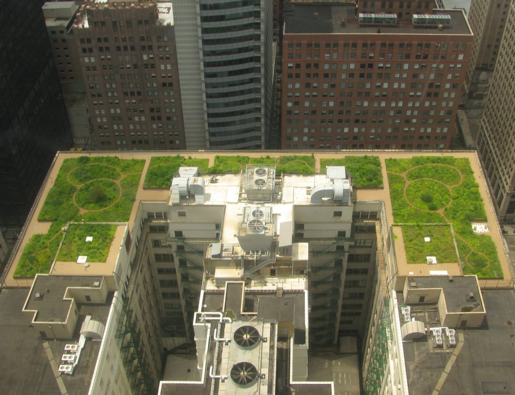 Chicago_City_Hall_green_roof (Wikimedia Commons) Earth Buddies