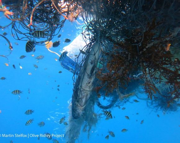 Sri Lanka’s Water Ghost Sri Lanka’s Water Ghost