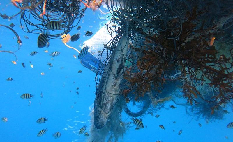 Sri Lanka’s Water Ghost