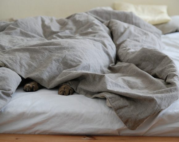 How to Stay Happy When Cold How to Stay Happy When Cold