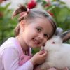 Things to Know Before Getting a Pet Rabbit