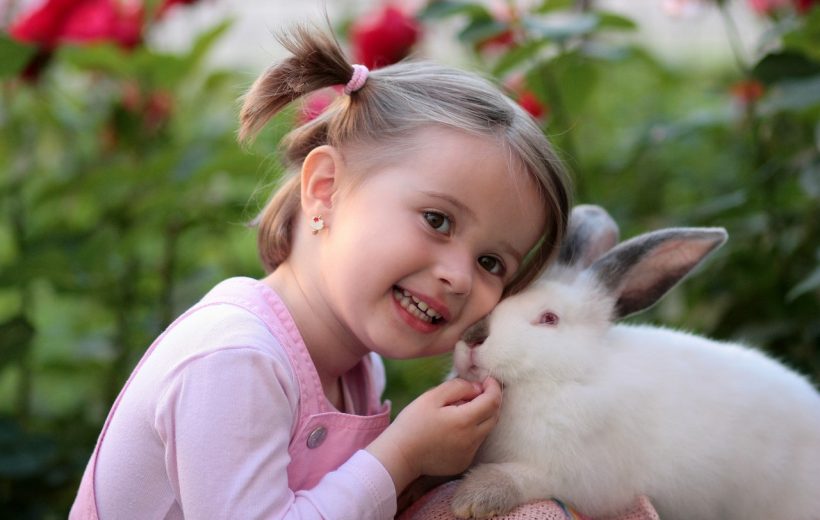 Things to Know Before Getting a Pet Rabbit