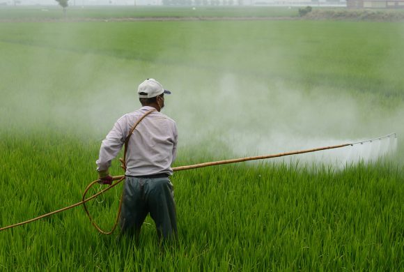 farmer spraying pesticide