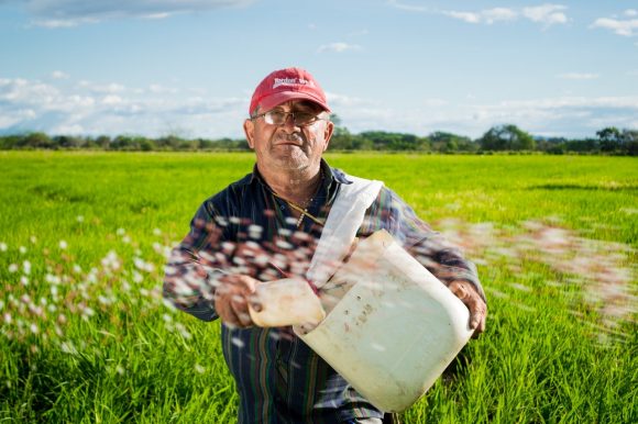 vertical farmers will experience less occupational hazards like the traditional ones