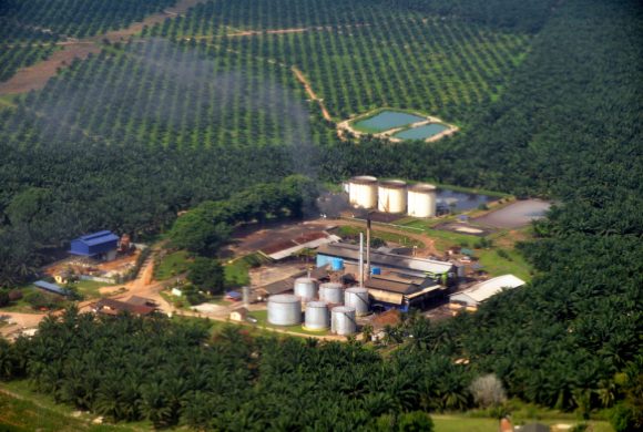 palm oil mill by marufish