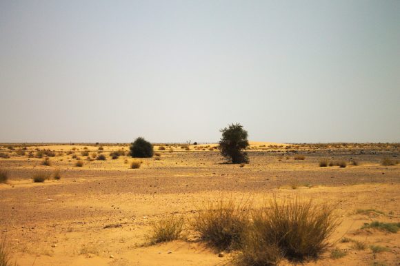 Sahel desert by by ammar01uk