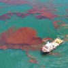 How Deepwater Horizon Oil Spill Cleanup Done
