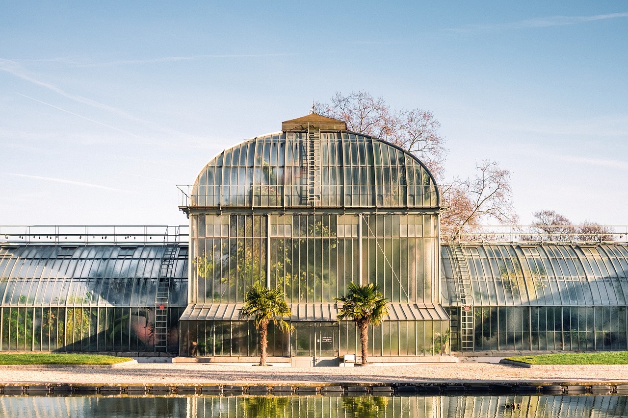 greenhouse or conservatory