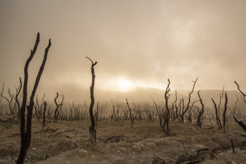 What You Need to Know About Australia’s Recent Drought