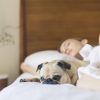 Keeping Your Home Clean the Pet-Friendly Way