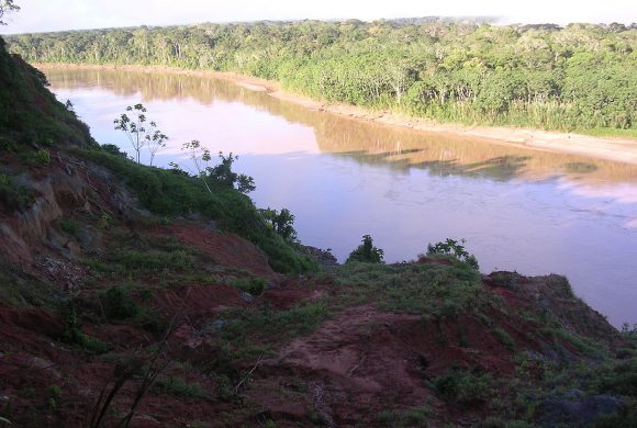 Amazon forest is a big methane generator