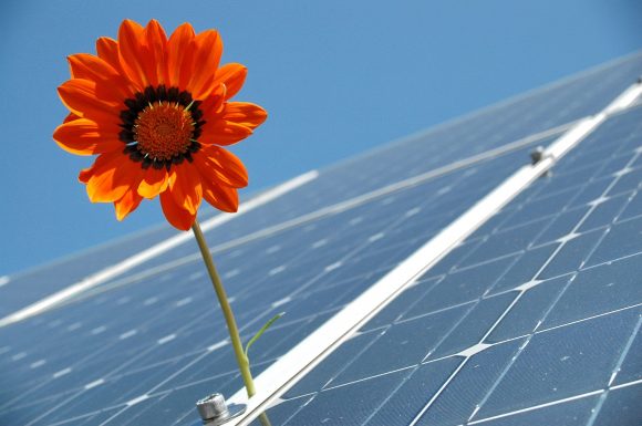 solar power is one of many ways to be green