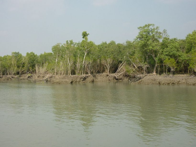 Worms are The Guardians of India’s Wetlands