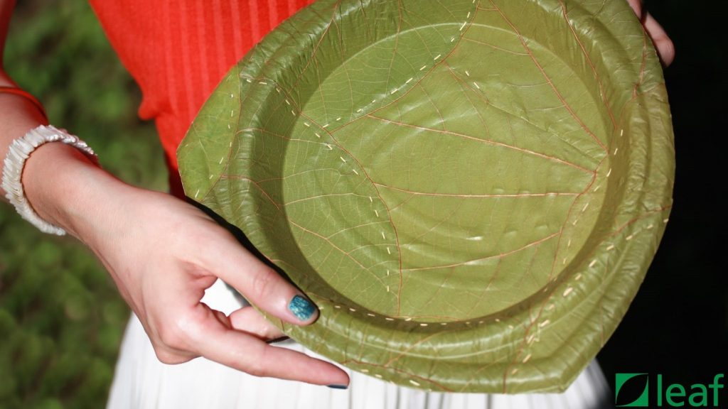 Plate Made Of Leaf (Leaf Republic) Earth Buddies