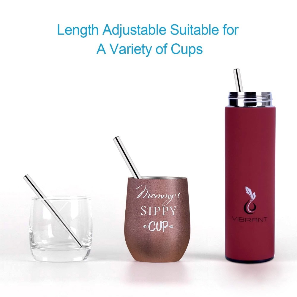 https://earthbuddies.net/wp-content/uploads/2019/07/Telescopic-Straw-Portable-and-Reusable-Stainless-Steel-Drinking-Straw-with-Brush-Adjustible.jpg