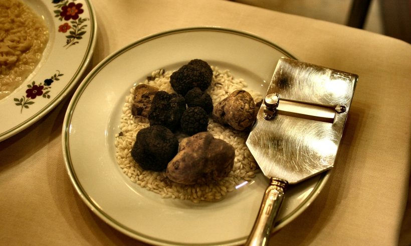 We Might Not be Able to Enjoy Truffles Since Their Existence is Now Threatened