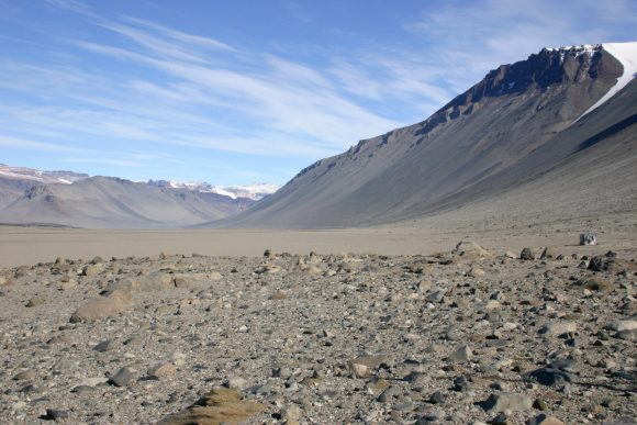 polar desert (Wikimedia Commons)