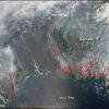 Fire in the Wet Season