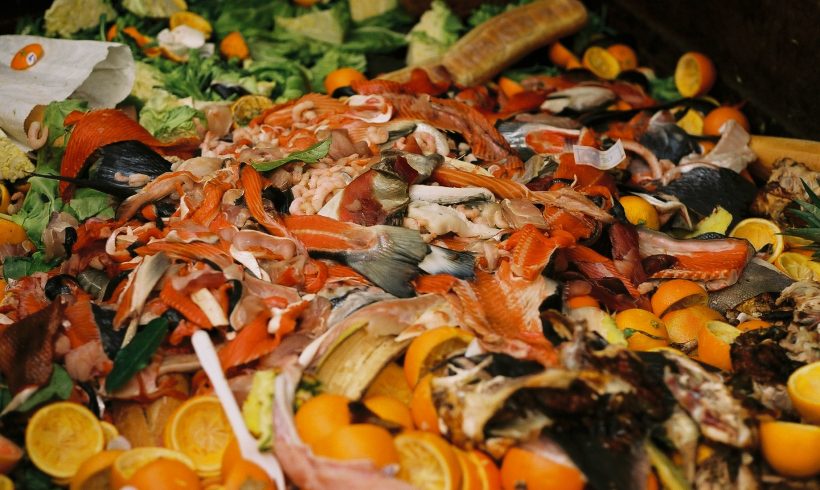 Why Organic Matters Don’t Biodegrade Well In Landfill?