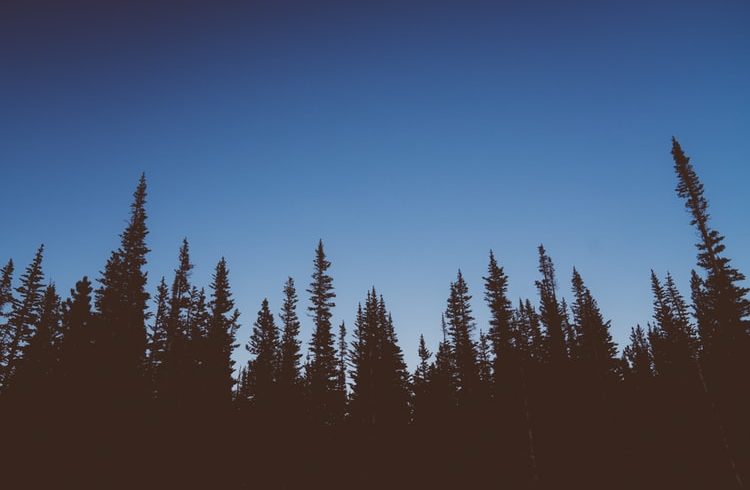 When Night Stops Being Dark