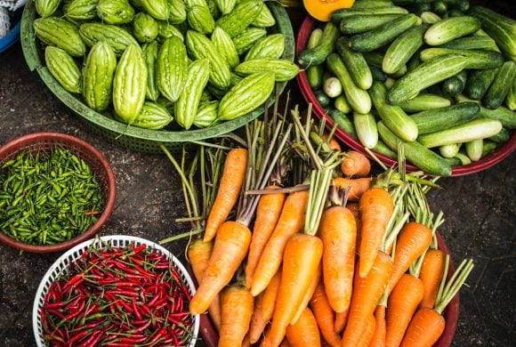 farming kit for sustainable small farm
