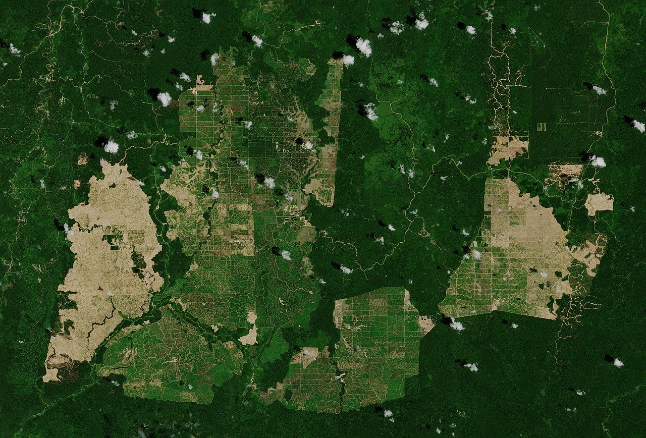 Palm oil plantations in East Kalimantan. Photo by European Space Agency (ESA) Wikimedia Commons