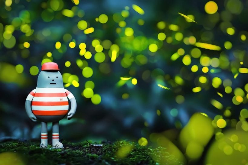 What You Might Want to Know about The Fireflies What You Might Want to Know about The Fireflies