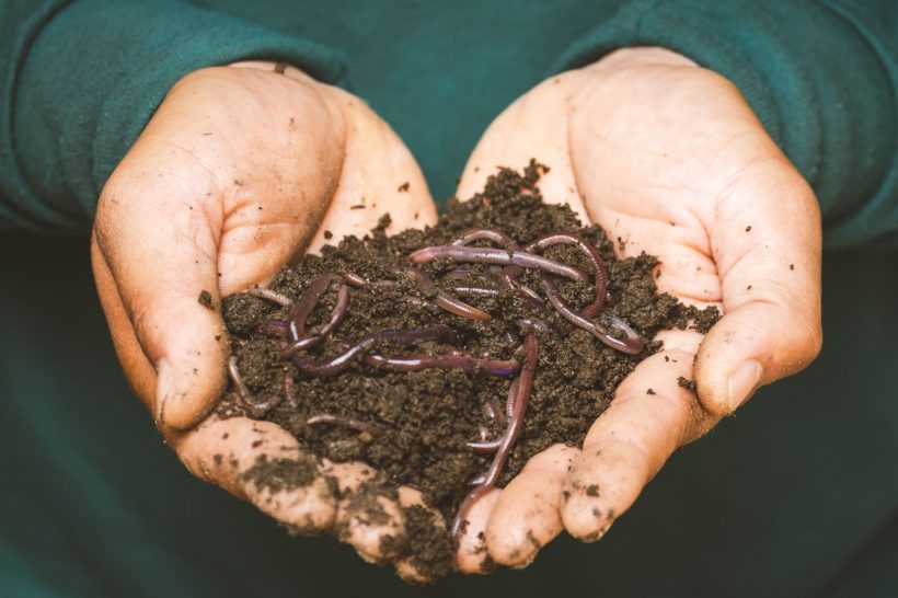 If You Want it, You can Now Turn Your Deceased Bodies into Compost