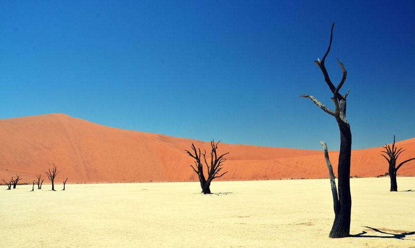 Grid Resilience and Solar Power: How Texas is Preparing for the Future