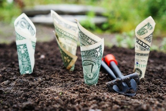When Nature Loses, So Does the Economy